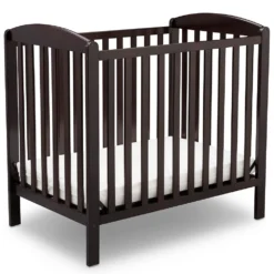 Delta Children Mini Convertible Crib With Mattress