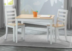 Delta Children Gateway Table & 2 Chair Set -Delta Children 530300 196 gateway TNC hangtag scaled