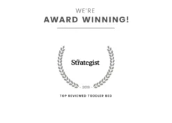 Delta Children Mickey Mouse Interactive Wood Toddler Bed 16 Delta Children Mickey Mouse Interactive Wood Toddler Bed -Delta Children BB86929MM 1051 Mickey Mouse Interactive Wood Toddler Bed nocolor silo 99 scaled