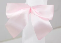 Delta Children Toddler Bed Canopy -Delta Children gww27n6rvbsqf6hvkvyr scaled