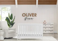 Delta Children Hayes 4-in-1 Convertible Crib