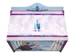 Delta Children Frozen II Deluxe Toy Box -Delta Children so5dp4hw24n2ogsozs8c scaled