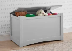 Delta Children Universal Toy Box